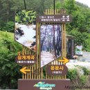 국립운문산자연휴양림야영장 이미지