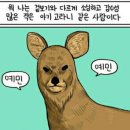 #4. 야외커플스냅, 야외본식스냅 쿠모나리제이 + 커플스냅 보정 후기