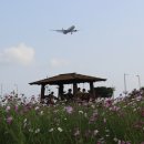 인천공항 하늘공원 이미지