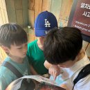 키움태권도&점퍼즈줄넘기 이미지