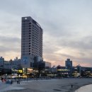 세븐일레븐 울산동남점 | [국내여행] 럭셔리(?) 꽃구경 울산 여행 후기
