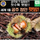에바다 쇼핑하우