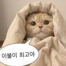 신일오토 | [충북] 호수 뷰 맛집 충주호 캠핑월드 재방문 / 단독오토 4번 사이트 후기 /신일 팬히터 첫 개시!