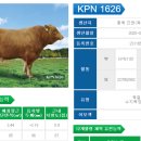 진천 가축 인공수정소 | 오늘 수정한 KPN1626 정액, 어떤 씨수소일까요?