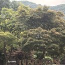 엠티브이5로18번길 | [전북 정읍 여행] 가성비 숙소추천 내장산 야영장 하우스 18번 후기, 예약방법 및 근처 맛집추천