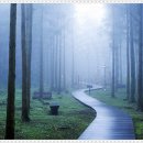 여의도상한가의원 이미지