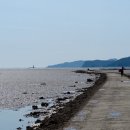 신덕바지락영어조합법인 이미지