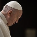 교황 평화를 위해 봉사하는 프란치스코 교황 이미지