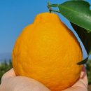 제형농장 이미지