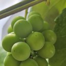 [행복대학] 와인과 인문학 이미지