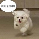 경주 가볼만한 곳 , 경주 엑스포대공원&amp;솔거미술관&amp;비밀의 정원, 데이트코스 추천해요