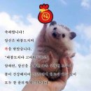 오이지스튜디오 이미지