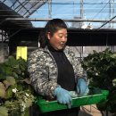 현주농장 2 이미지