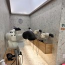 아쿠아스플래쉬남악오룡점 | 아쿠아스플래쉬 남악오룡점 ( 초등학교 2학년 )