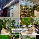 꼬리살랑 | 여수 죽림 FLOA 꽃집 후기/ 몬스테라 화분, 분갈이까지 맡기기 좋은곳