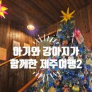쎄로델쏠 | [제주 아기랑 여행] 강아지와 13개월 아기 데리고 떠난 제주여행 2일차
