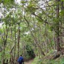 예곡어촌체험휴양마을 이미지