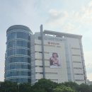 서울수플레 | 전주 롯데백화점 7월 팝업 치플레 서울 3대 수플레케이크 4종 내돈내산 후기