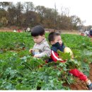 해오름농장-1 이미지