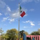 순천만 풍경 | 순천 가을 가볼만한 곳] 윈도우 배경화면이 내 눈앞에..! 평화롭고 아름다운 풍경 &#34;순천만 국가정원&#34; 후기💚