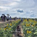 동머리농장 이미지