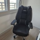 ARENA PC방 | (제닉스ARENA PRIME 메쉬 게이밍 컴퓨터 의자)1달 사용후기