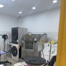 멍지펫살롱 이미지