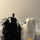 잔스포츠 하프파인트, 하이랜드 미니팩 / 실사용 후기 및 비교, 미니백팩 추천