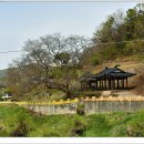 관란정觀瀾亭 이미지