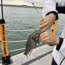 무기수산좌대낚시터 이미지