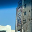 정관읍경로식당 | [부산/기장] 정관 초대형 키즈카페 빵빵플레이파크 솔직 후기｜주말 방문, 연령대별 장단점