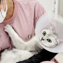 나비살롱 이미지