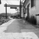 욕지여관 이미지