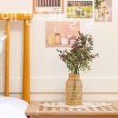 위드독애견스파풀빌라 이미지