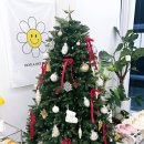 요기당 | [구래동 왁싱 샵 추천] 왁싱은 요기당 ! 엔뷰티 왁싱 김포구래점