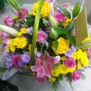 보개모터스 이미지