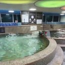 금빛 물조은 온천 이미지