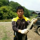 늘푸른낚시 이미지