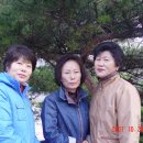 덕진초등학교 이미지