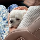 양양군 강현면 풋살구장 | 6월도 끝 🪴🫧