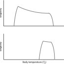 Being cool: how body temperature influences ageing and longevity 이미지