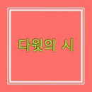 정오의빛