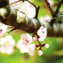 주산공원 이미지