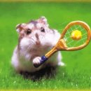 새샘태권도 이미지