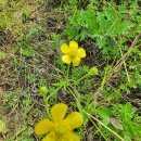 삼거리골재 이미지