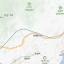 롯데센텀시티스케쳐스 네이버블로그
