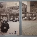 Pinocchio-3 이미지