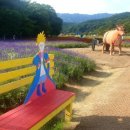 필봉산길 이미지