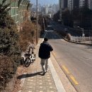 집을 카페처럼 구움과자 홈베이킹(주간)(11월) | 주간일기 / 코엑스, 마들렌 홈베이킹, 집밥을 늘리는 중