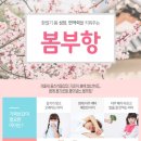 꽃피는봄한의원 이미지